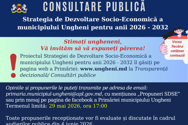 consultare publica