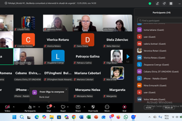 instruiri online profesori