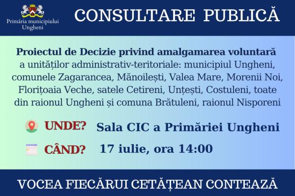 consultare publica
