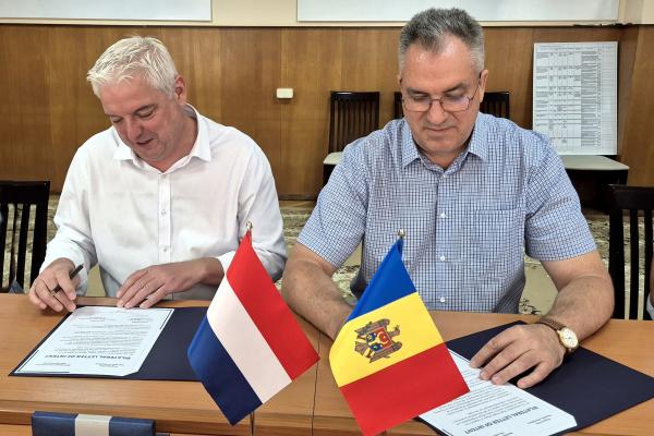Scrisoare de intenție