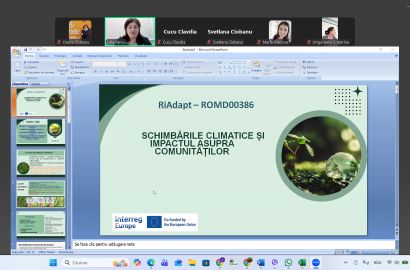 instruiri online profesori