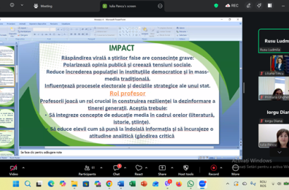 instruiri online profesori