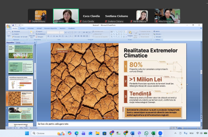 instruiri online profesori