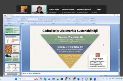 instruiri online profesori