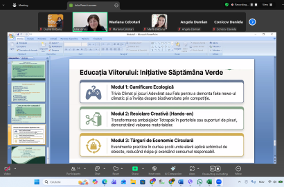 instruiri online profesori