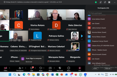 instruiri online profesori