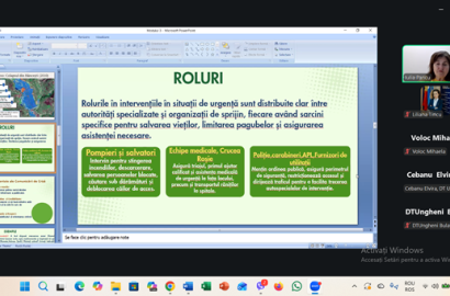 instruiri online profesori