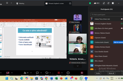 instruiri online profesori
