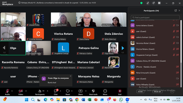 instruiri online profesori