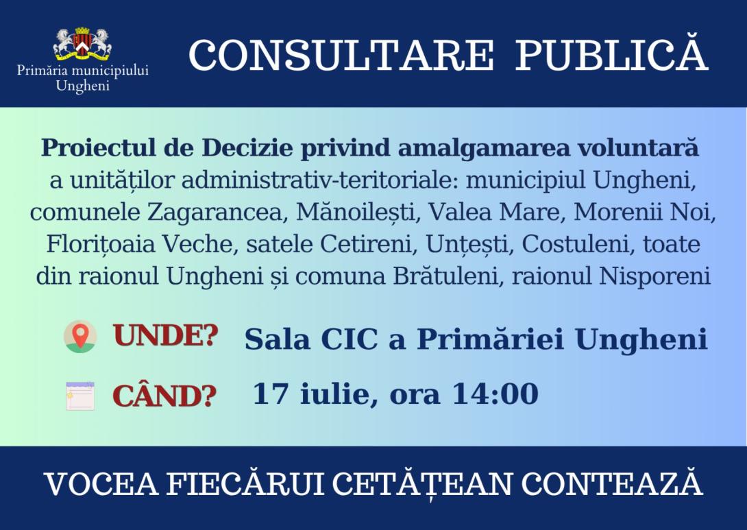 consultare publica